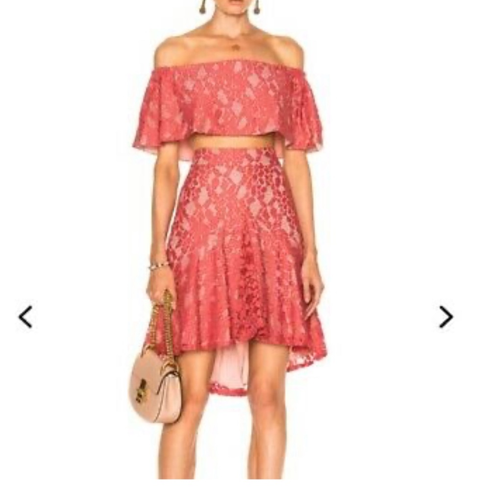 NWT - Alexis Braxten Skirt